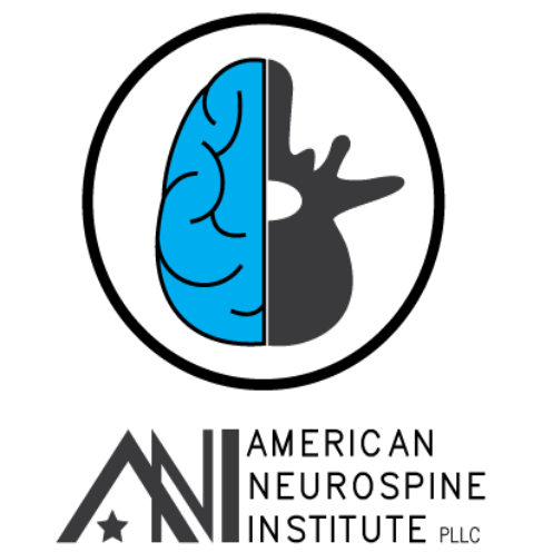 American Neurospine Institute